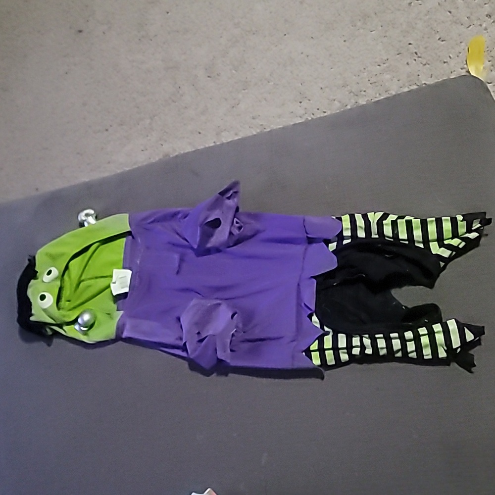 Pet halloween costume